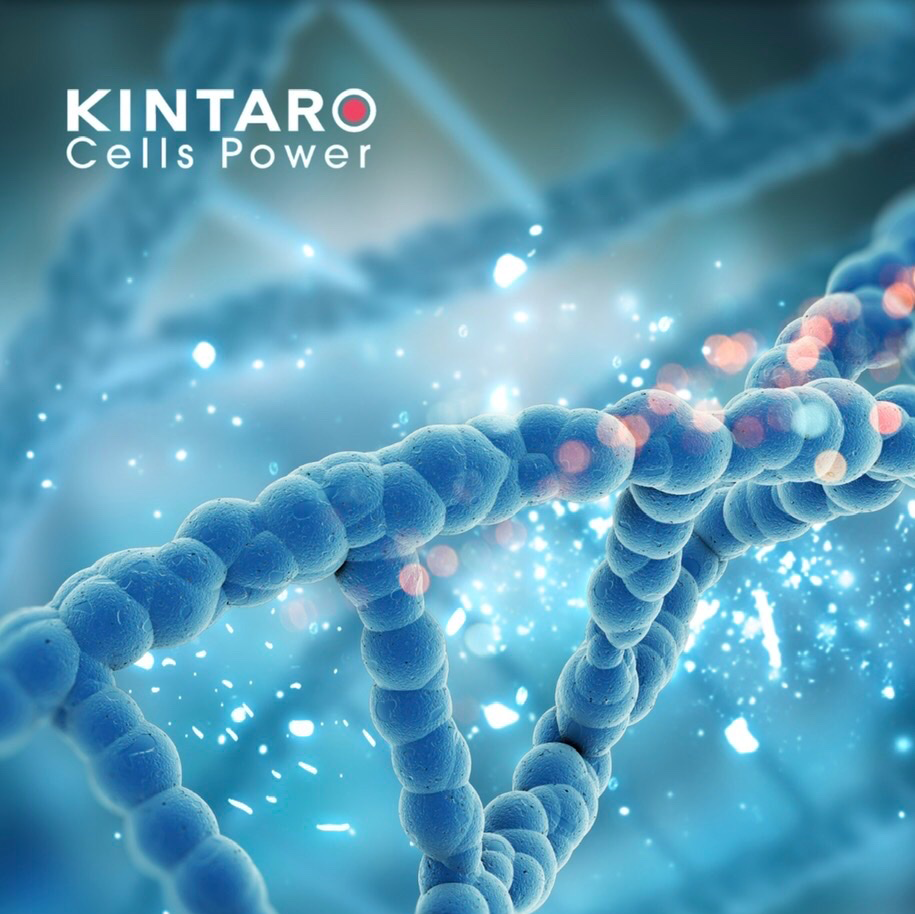 POWERFUL OF NEW TREND “KINTARO STEM CELLS”